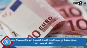 هبوط ملحوظ في سعر اليورو بالبنوك المصرية اليوم الخميس 31 يوليو 2025.. كم وصل الآن؟